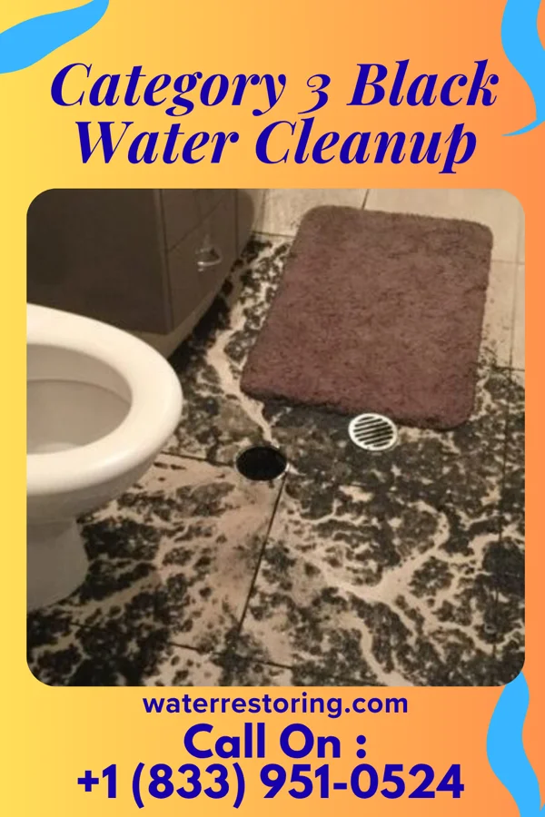 Category 3 Black Water Cleanup in Bellfountain, OR